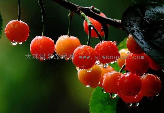 ����������ӣ�ҽ�