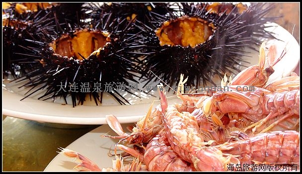 ʮһ������