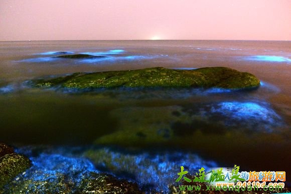 大连荧光海