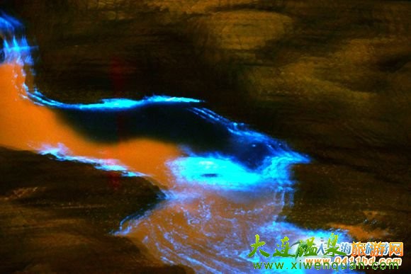 大连荧光海图片